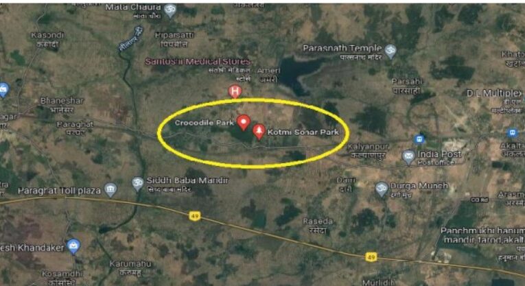Survey Report of Mugger in Kotmi Nagar Sonar Park, Janjgir Champa, Chattisgarh