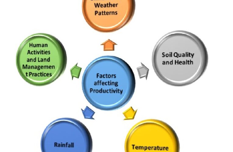 Influence of Environmental Factors on Fertile Soil Yield