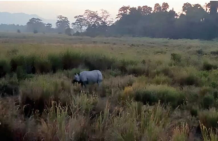 Kazi Trip Travelogue