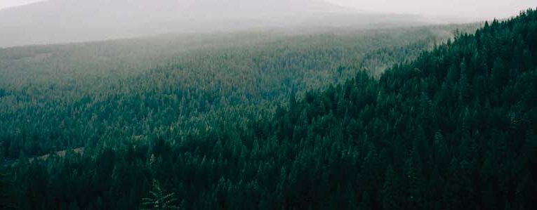 Role of Psychology in the Forest and Environment Management