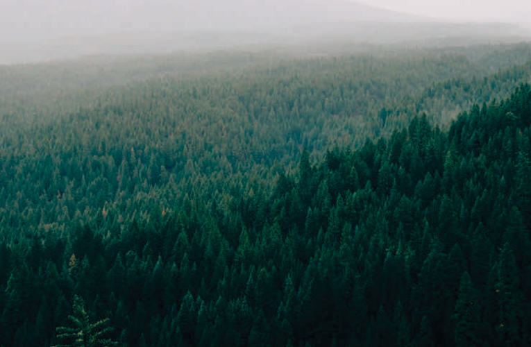 Role of Psychology in the Forest and Environment Management