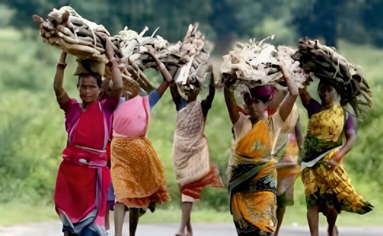 WOMEN ROLE & CONTRIBUTION IN FORESTRY