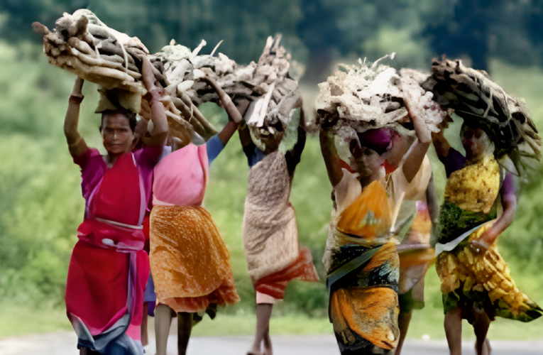 WOMEN ROLE & CONTRIBUTION IN FORESTRY