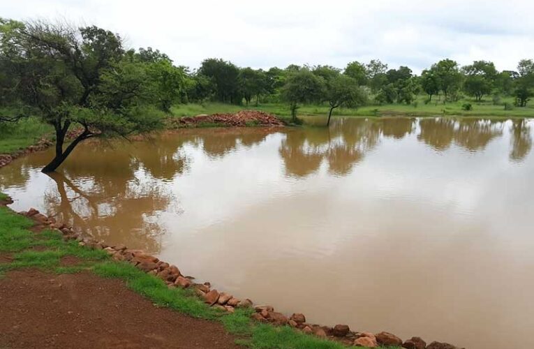 Economic Valuation of Ecotourism in Van Vihar National Park, Bhopal, Madhya Pradesh