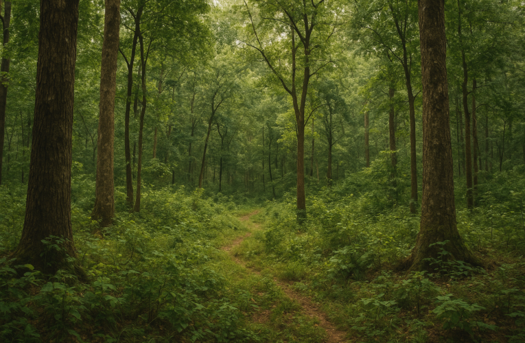 वन विभाग की कमजोरियाँ और मजबूरियाँ