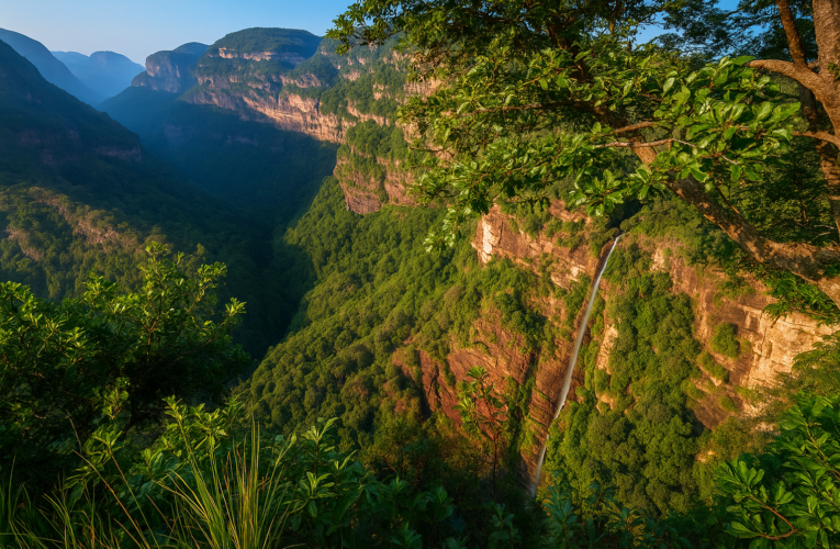 मध्यप्रदेश के जंगल