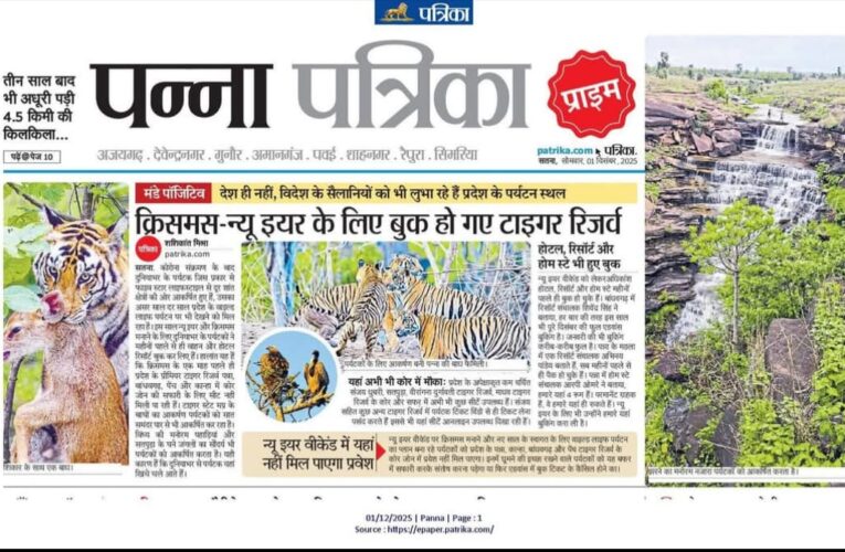 क्रिसमस–न्यू ईयर पर फुल हाउस: टाइगर रिज़र्व में बुकिंग्स पूरी