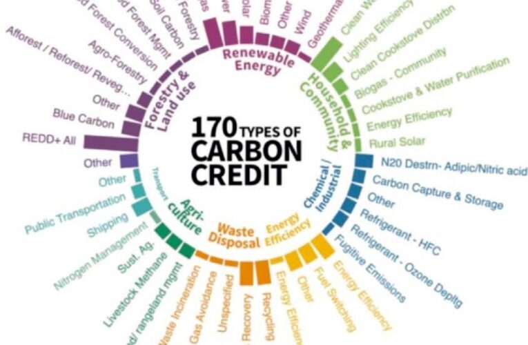 कार्बन क्रेडिट क्या है?
